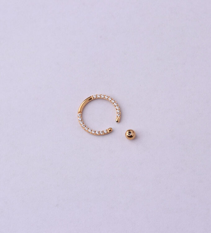 Ødger Septum/Ear Piercing