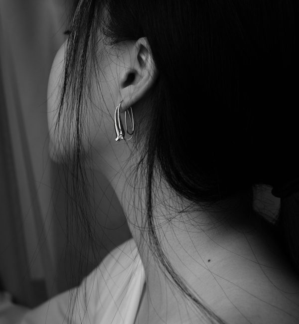 earning-jewelry